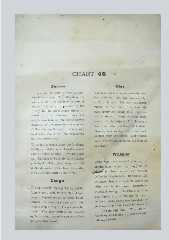 grand affiche d'instruction "chart 46"- US ARMY – Image 2