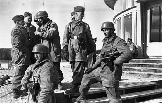 Fallschirmjager officer parade jacket - Image 18